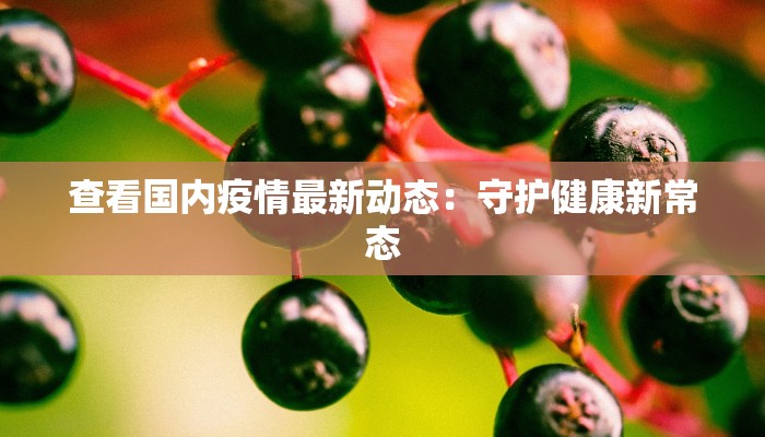 查看国内疫情最新动态：守护健康新常态
