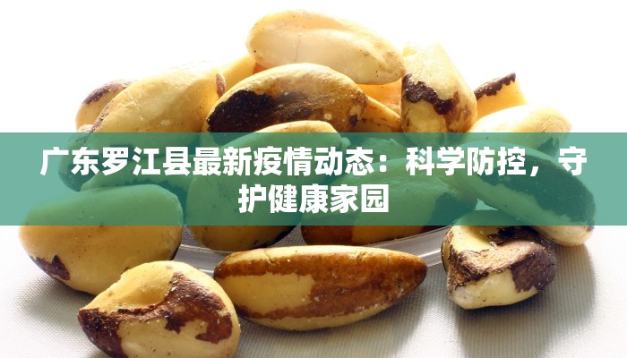 广东罗江县最新疫情动态：科学防控，守护健康家园