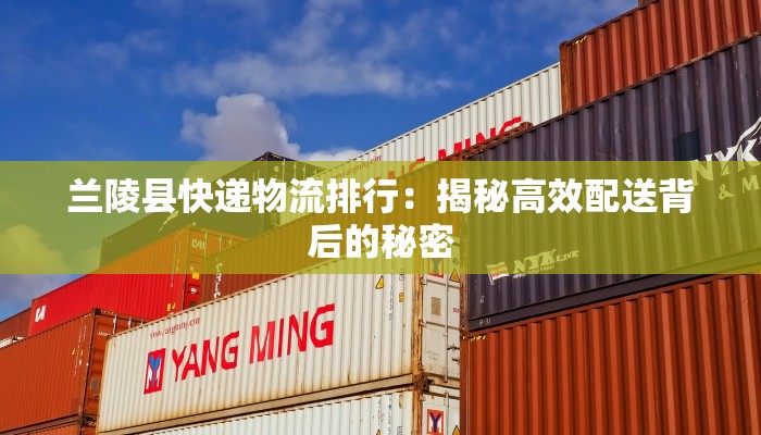 兰陵县快递物流排行：揭秘高效配送背后的秘密