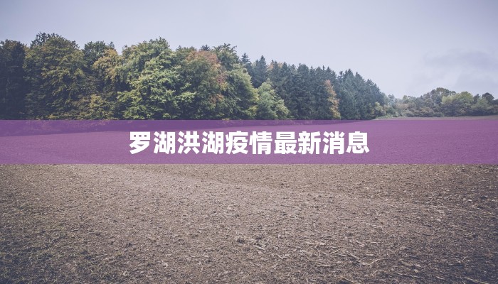 罗湖洪湖疫情最新消息