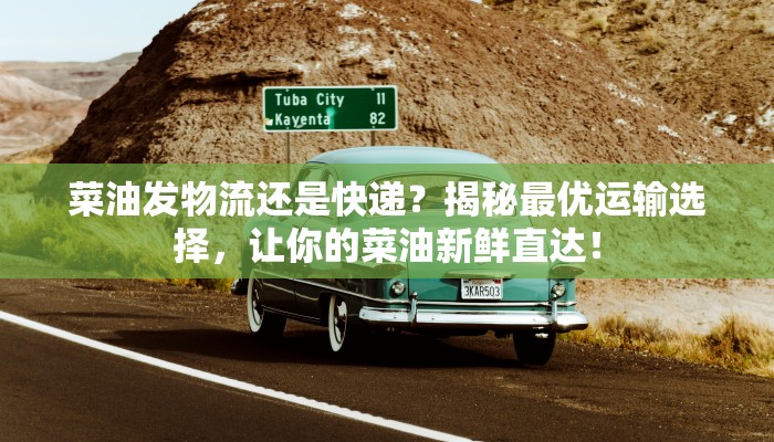 菜油发物流还是快递？揭秘最优运输选择，让你的菜油新鲜直达！