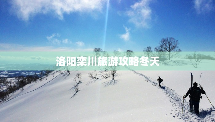 今天下午疫情最新表情