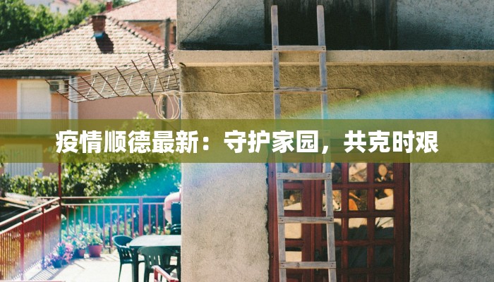 疫情顺德最新：守护家园，共克时艰