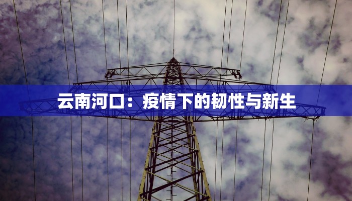 云南河口：疫情下的韧性与新生