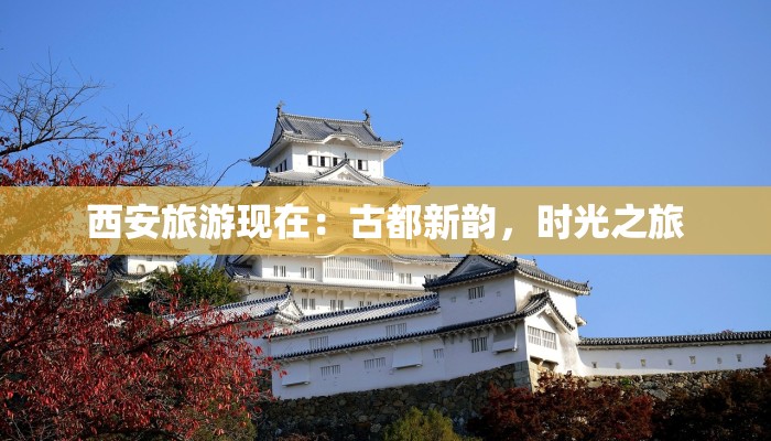 最新发布最新疫情通报