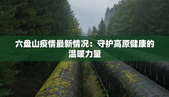 六盘山疫情最新情况：守护高原健康的温暖力量
