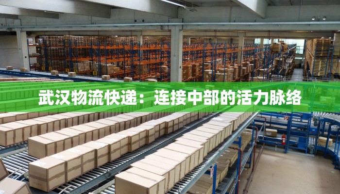 松江今日疫情名单最新