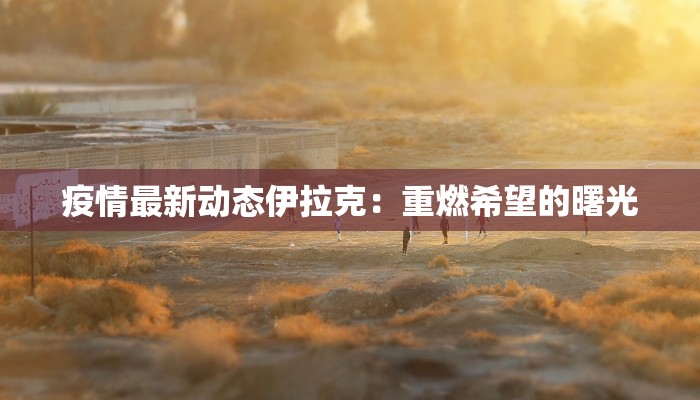 疫情最新动态伊拉克:重燃希望的曙光 疫情最新动态伊拉克:重燃希望的曙光