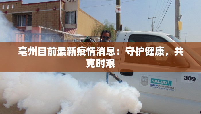 山东胶州最新疫情公示