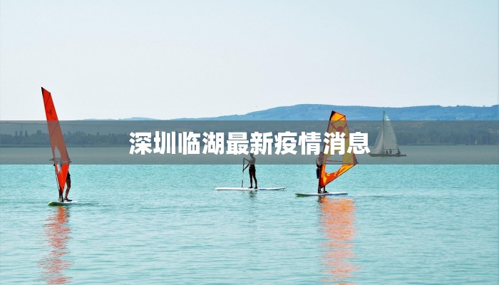 深圳临湖最新疫情消息 深圳临湖最新疫情消息