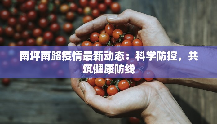 南坪南路疫情最新动态：科学防控，共筑健康防线
