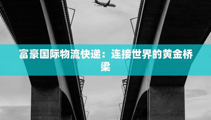 富豪国际物流快递:连接世界的黄金桥梁 富豪国际物流快递:连接世界的黄金桥梁